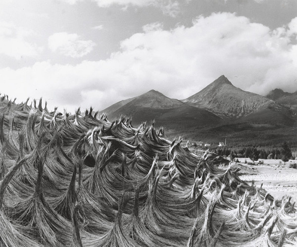 Karel Plicka – Vysoké Tatry-Sušenie ľanu-Štôla 