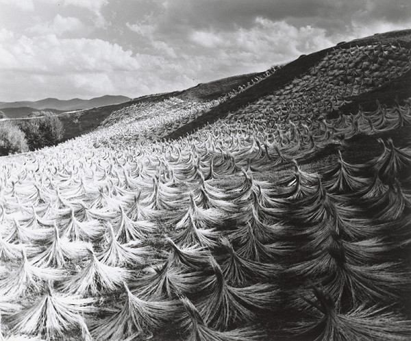 Karel Plicka – Vysoké Tatry-Sušenie ľanu-Štôla 