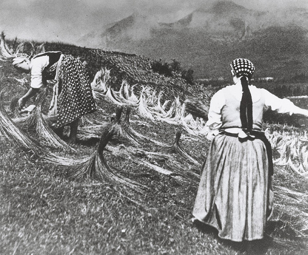 Karel Plicka – Práca s ľanom v Tatrách-Štrba 