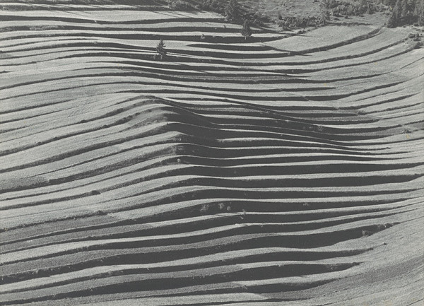 Martin Martinček – Krajina z Liptova 