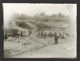 Marie Zavadilová – Cesty 