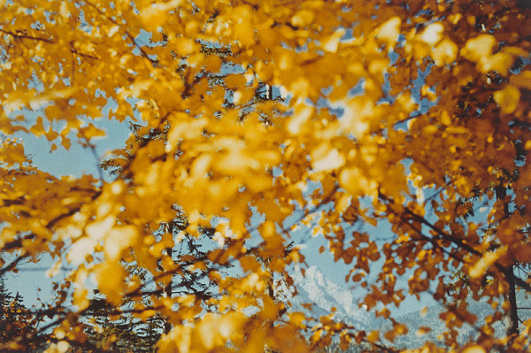 Pavol Repka – Tatranská jeseň 