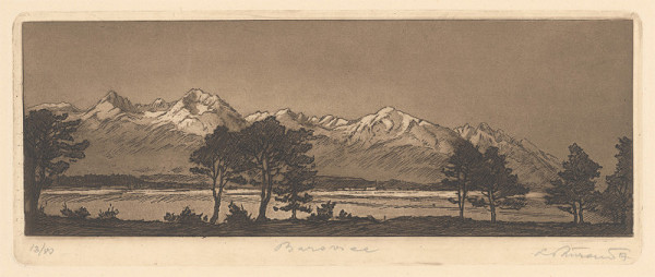 Ľudovít Križan – Borovice 