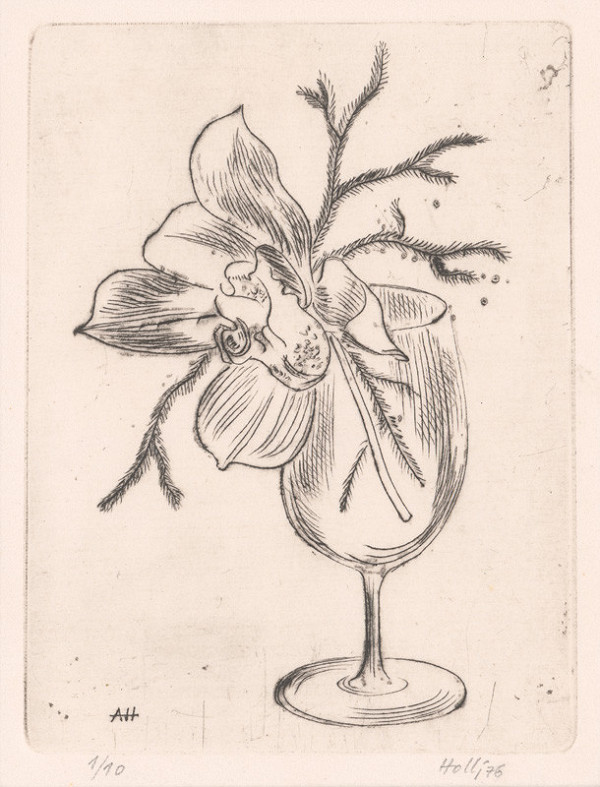 Anton Hollý – Orchidea 