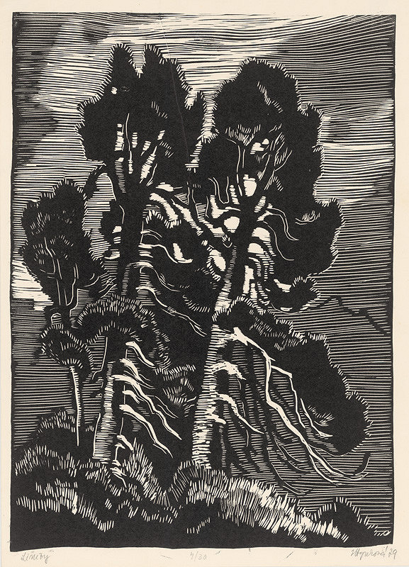 Ludmila Hynková – Limby 