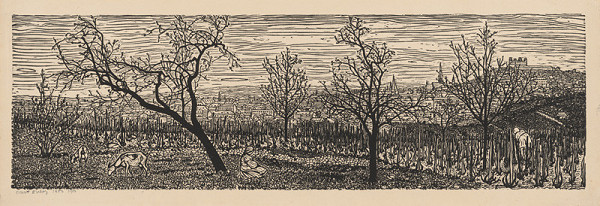 Orest Dubay – Bratislava II. 