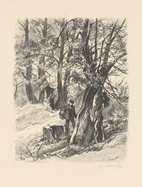 Jaroslav Vodrážka – Na hubách 