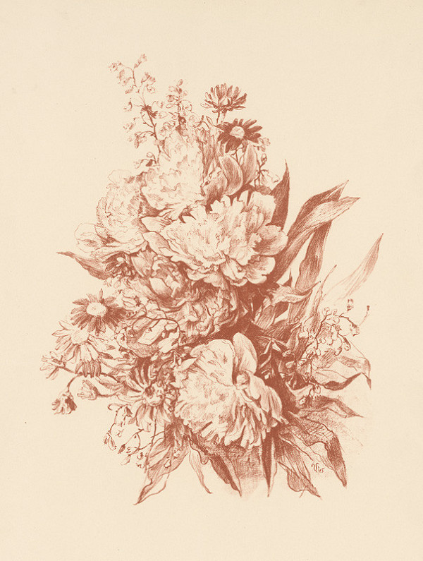 Jaroslav Vodrážka – Kytica 