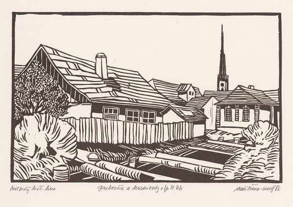 Ján Šimo-Svrček – Garbovňa a Medzivody v Spišskej Novej Vsi I. 