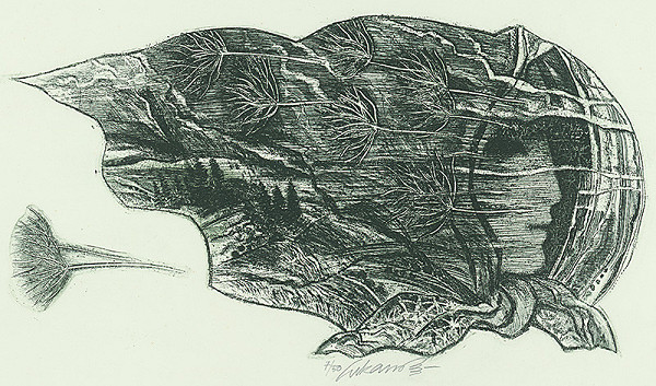 Jaroslav Lukavský – Meluzína 