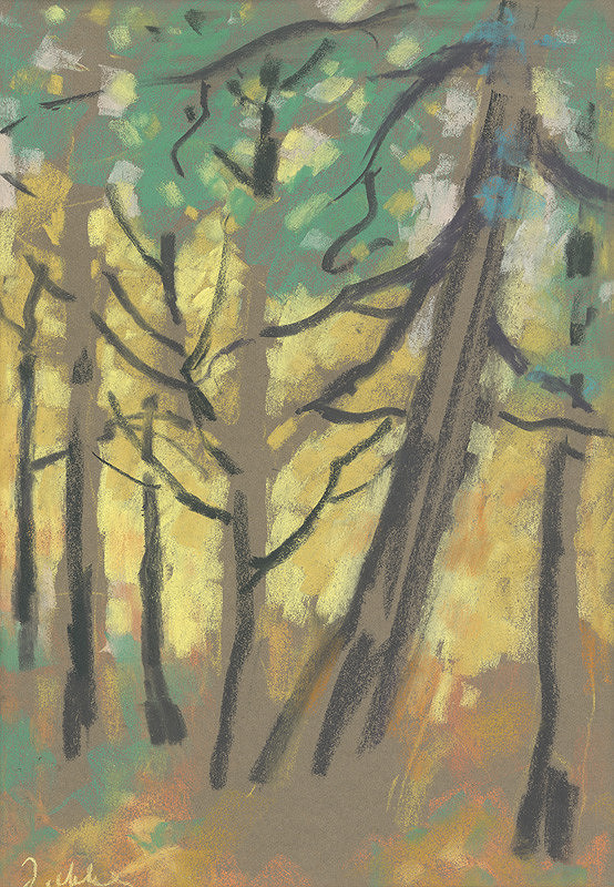 Janko Alexy – Sliačský les 