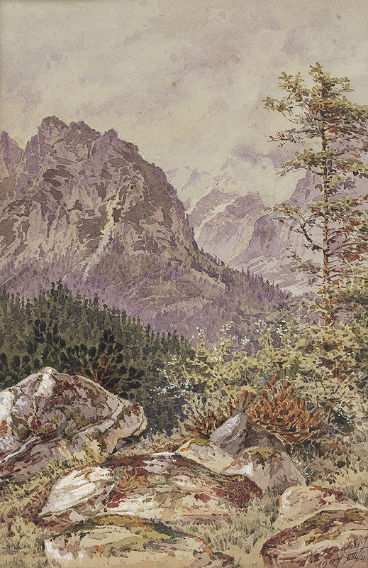 Eugen Wallachy – Studenovodská dolina 