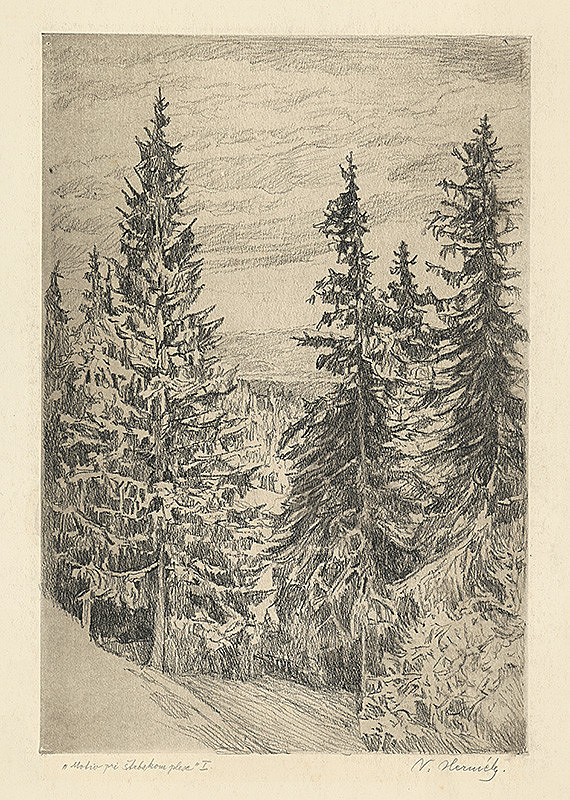 Viktor Hermély – Motív pri Štrbskom plese I. 