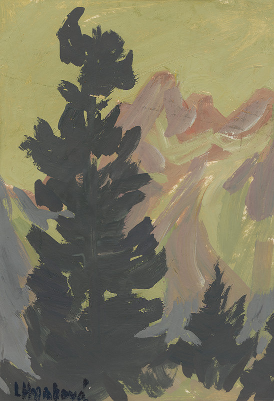 Ludmila Hynková – V Mengusovskej doline 