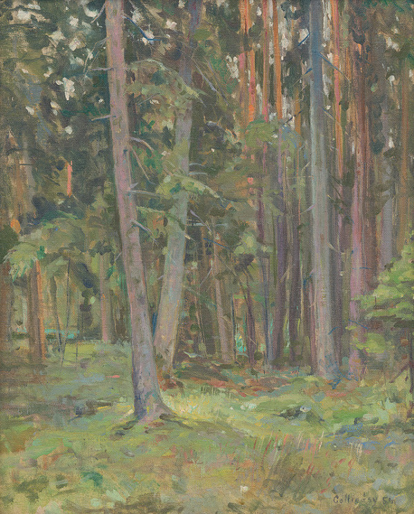 Juraj Collinásy – Štúdia lesa 