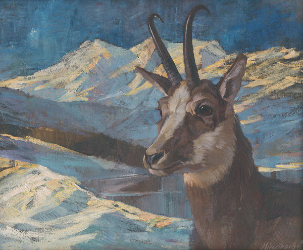 Gejza Kieselbach – Kamzík 