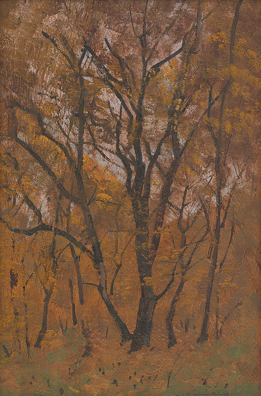 Ferdinand Katona – Štúdia lesa 