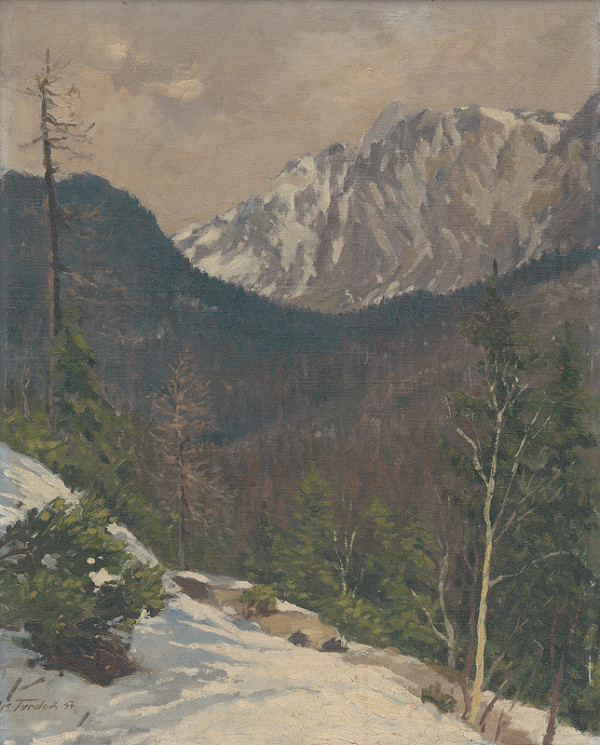 Martin Tvrdoň – Studenovodská dolina 