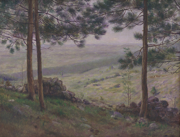 Dezider Czölder – Pod borovicami 