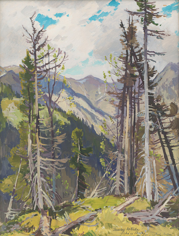 Jaroslav Votruba – Pohľad do Tichej 