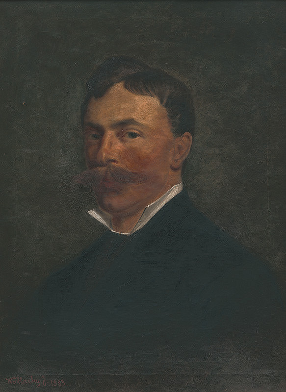 Eugen Wallachy – Portrét muža 