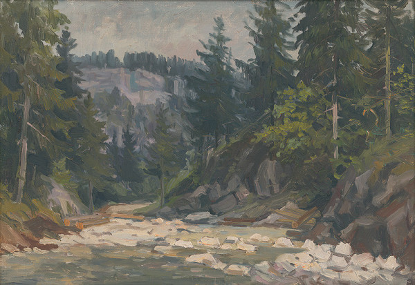 Jozef Majkut – Biely potok 