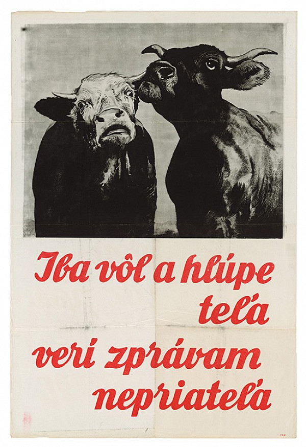 Neznámy autor – Iba vôl a hlúpe teľa verí zprávam nepriateľa 