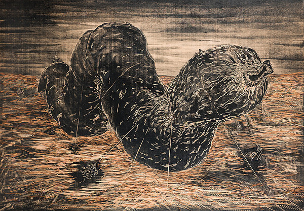 Tomáš Klepoch – Krotenie veľkej čabajky 